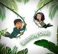 Roaming Owls Logo
